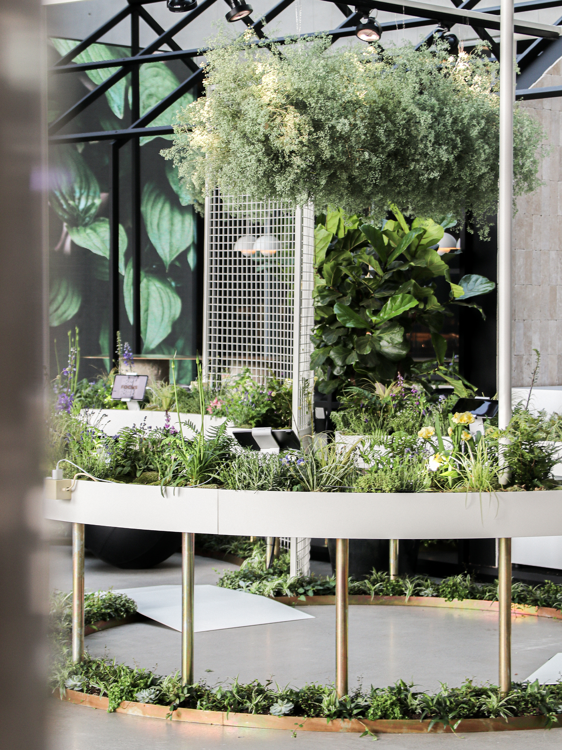 HUGO BOSS feel-good garden. Pop-up Fläche by Future Supply